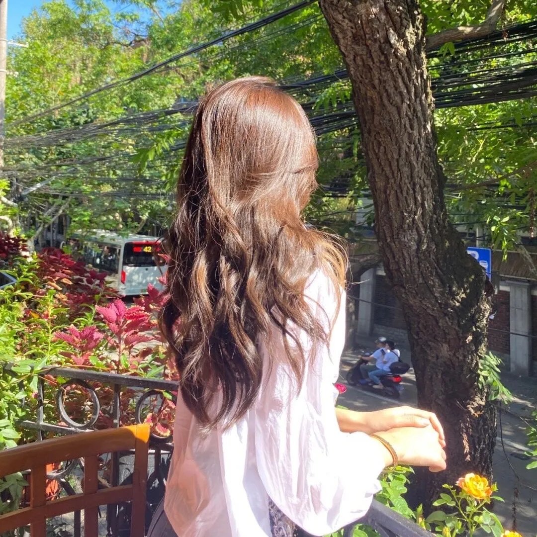 直言真相第一季